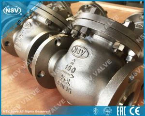 SS904L povratni ventil